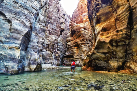 Da Amman: Tour privato di mezza giornata del Wadi Mujib.Trasporto e biglietti d&#039;ingresso