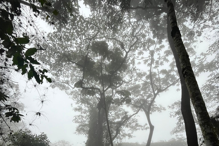 Bogota: Chicaque Nebelwald Tagesausflug mit Mittagessen