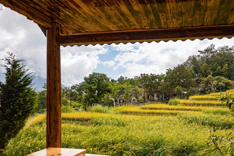 From Hanoi: Sapa 3-Day Trek with Culture and Cozy Bungalow From Hanoi with Sleep Bus & cozy Bungalow