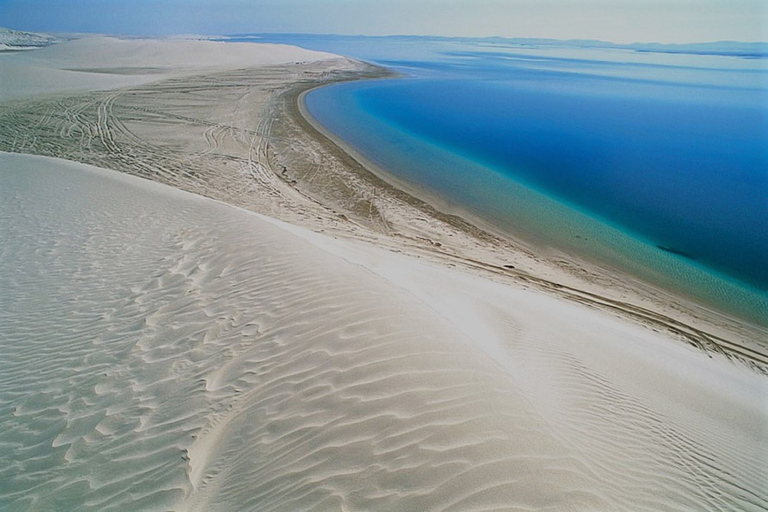 Doha: paquete de 5 horas de safari por el desierto