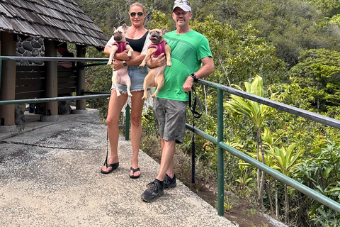 Maui: Rainforest Adventure to Hana with Photos