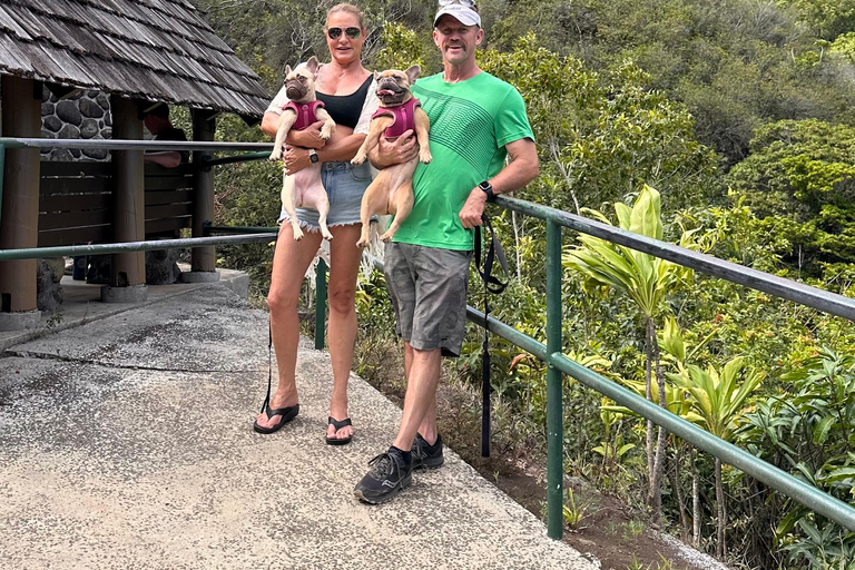 Maui: Rainforest Adventure to Hana with Photos