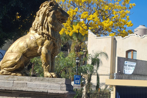 City tour em Oaxaca - Cultura, história e tradiçõesPASSEIO DE BICICLETA NA CIDADE DE OAXACA