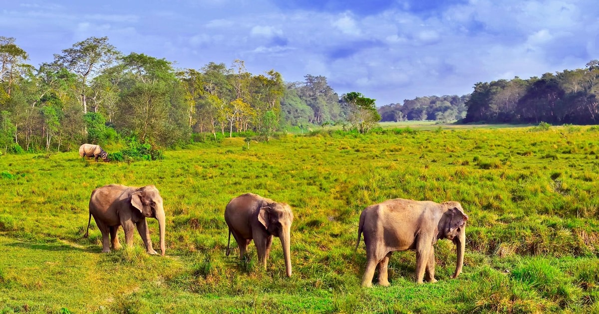 Tour Della Giungla Di Chitwan Di Giorni Con Pasti Kathmandu E