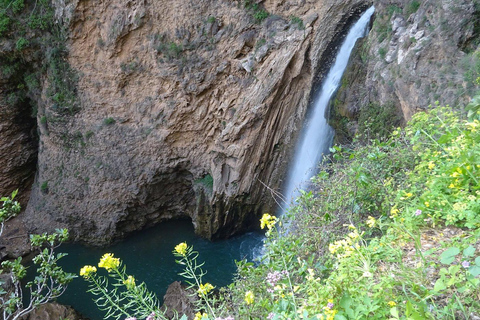 Da Malaga: Escursione di un giorno a Ronda e Setenil de la Bodegas in pullman