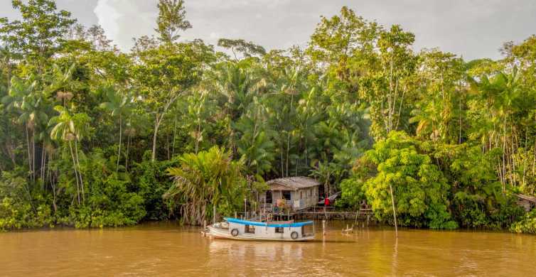 Top 10 Brazil Tourist Attractions You Have To See - Rainforest Cruises