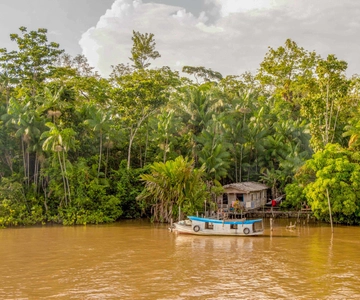 Manaus: 2, 3 ou 4 dias de Amazon Jungle Tour no Anaconda Lodge