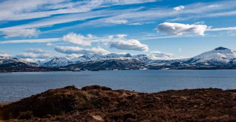 Molde and the hidden fjords | GetYourGuide