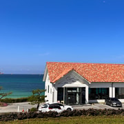 Jeju West Small-Group(Max 12) Bestseller Tour- From Seogwipo