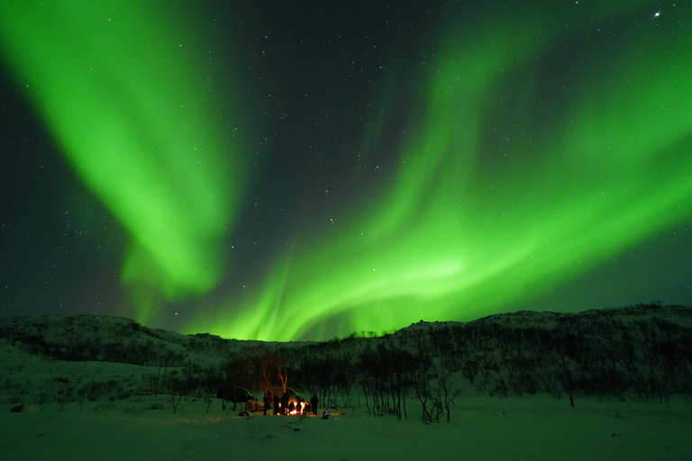 Tromsø: Northern Lights Tour – Unlimited Chase & Free Photos 6-8 Hours, Aurora chase, Comfortable bus, Photos included