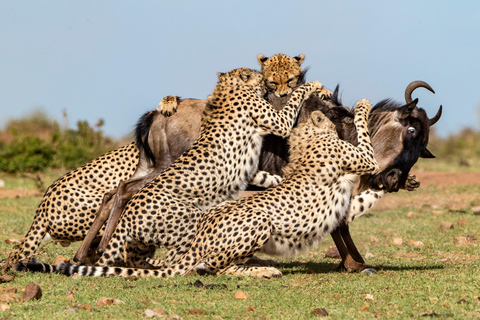 12 jours de safari combiné Kenya et Tanzanie avec les Big Five en Jeep 4x412 jours de safari combiné Kenya et Tanzanie Big five