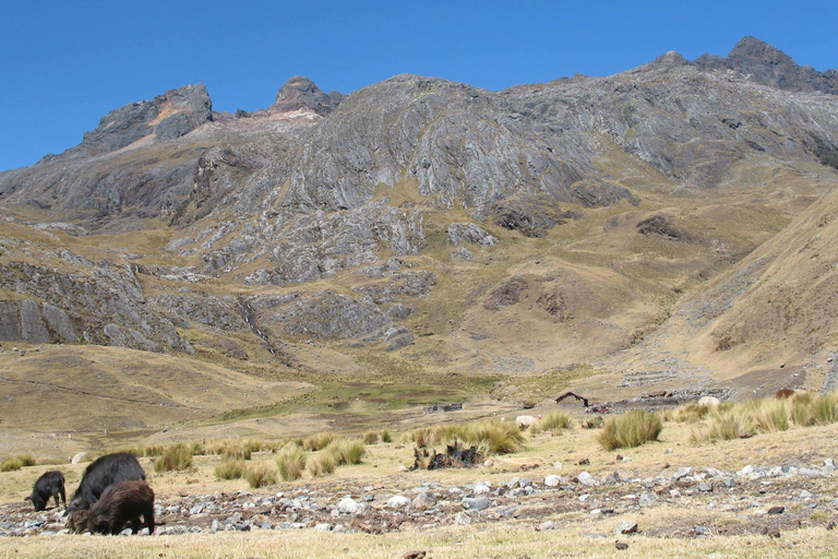 Huaraz: Hatunmachay Rock Climbing Day Trip