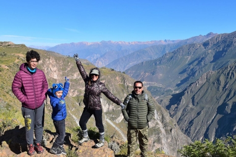 Arequipa : Journée complète dans le Canyon de Colca avec petit-déjeuner et déjeuner