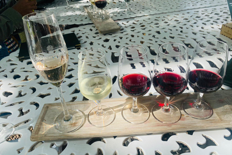 Safari dans la réserve de Big5 Aquila avec déjeuner et dégustation