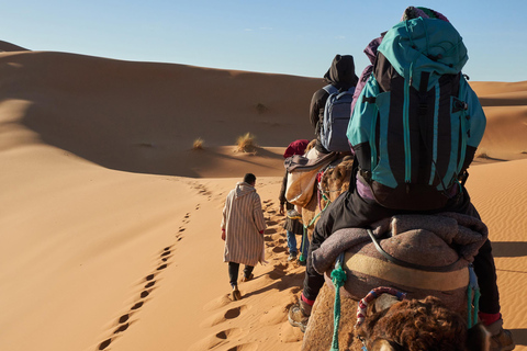 4-Day Private Desert Trip to Zagora & Merzouga From Agadir