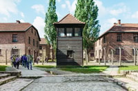 Desde Krakow, Auschwitz-Birkenau Guided Tour & Pickup Opciones - Housity