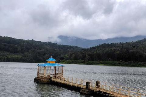 From Bangalore: 2-Day Chikkamagaluru: Temples & Safari