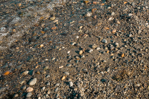 San Juan Island: 3-h Griffin Bay Tour