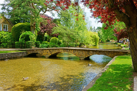 From London: Bath and Cotswolds Day Trip with Roman Baths Tour with entries in English