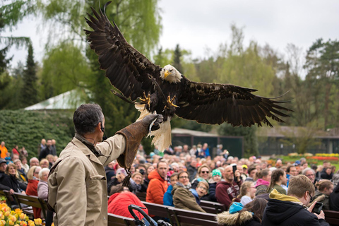 Full-day entrance to Weltvogelpark Walsrode