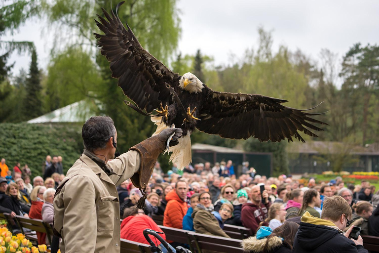 Full-day entrance to Weltvogelpark Walsrode