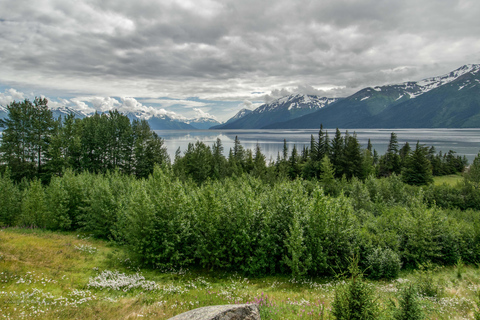 From Anchorage: Portage Glacier and Wildlife Full-Day Tour