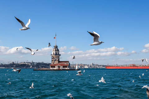 Istanbul Discovery: 3 Nights Hotel Stay & Private Tour Istanbul 3-Night Private Tour & Bosphorus Dinner Cruise