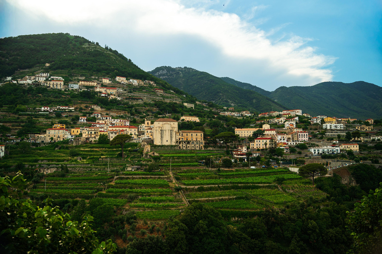 Positano, Amalfi & Ravello Trip with Seaside Lunch From Rome Positano, Amalfi & Ravello Trip with Seaside Lunch From Rome