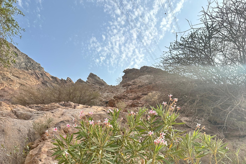 Omani Rooftop Terrace Dining + Village / Wadi Tour