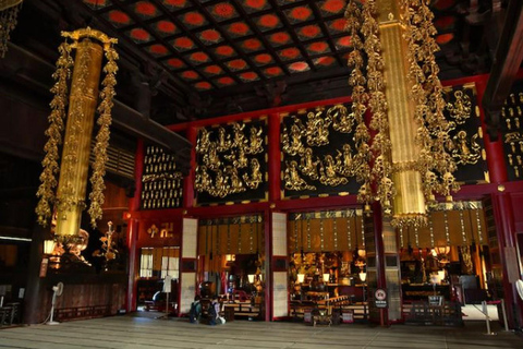 Tokyo: City One Day Private Customizable Top Places Tour