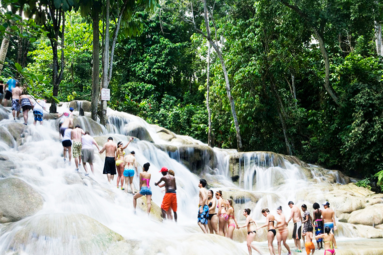 Bob Marley Mausoleum & Dunn’s River Falls Private Tour