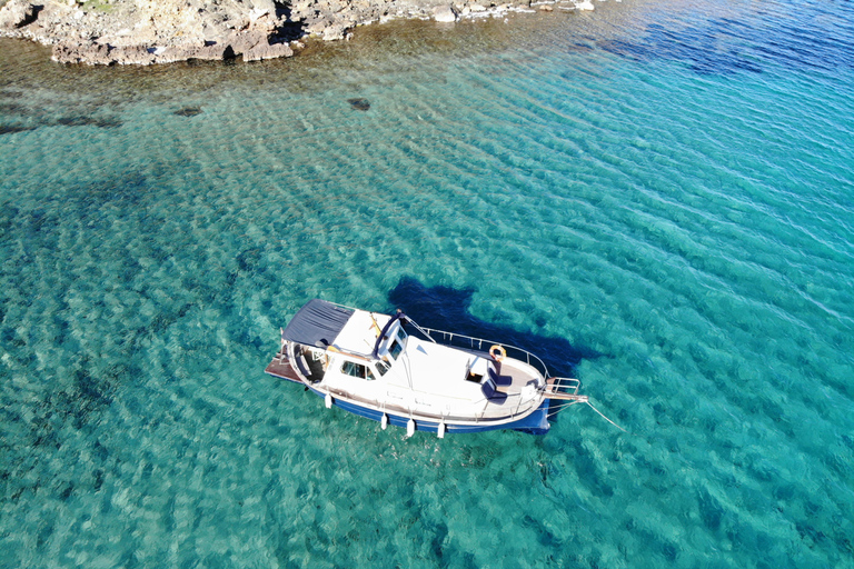 Sail in a Llaut through the marine reserve of northern Menorca, 4 or 8 hours Sail in the marine reserve of northern Menorca