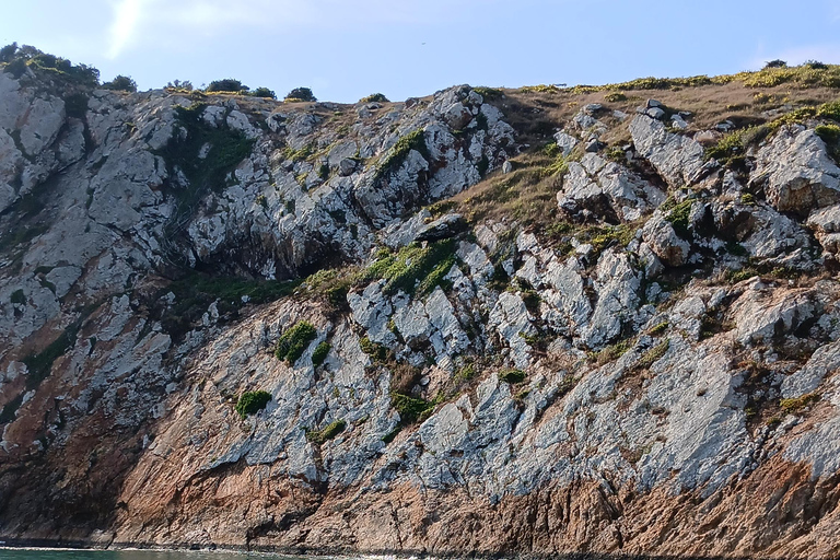 Open Water Tours on the Beaches of Búzios