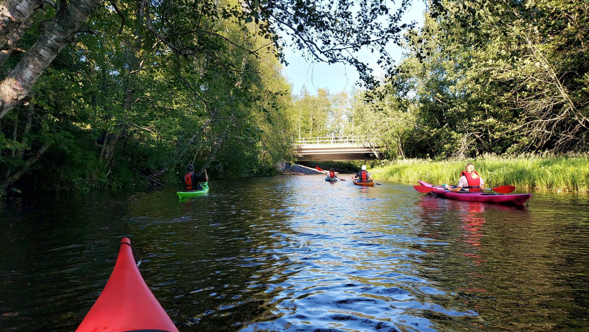 Kajaksafari im Oulu-Delta