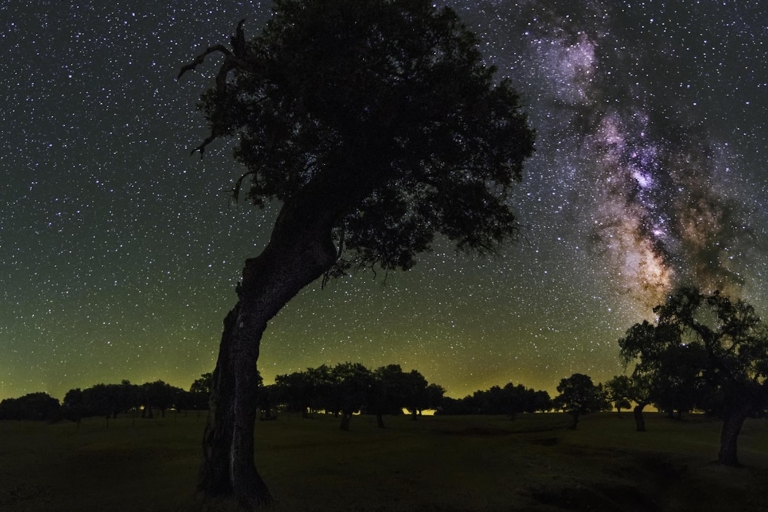 Under the Stars: Night Immersion with Sky Interpretation