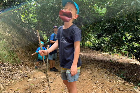 Chiang Rai Trek: 4 Hilltribes Villages & Waterfall Only Walk