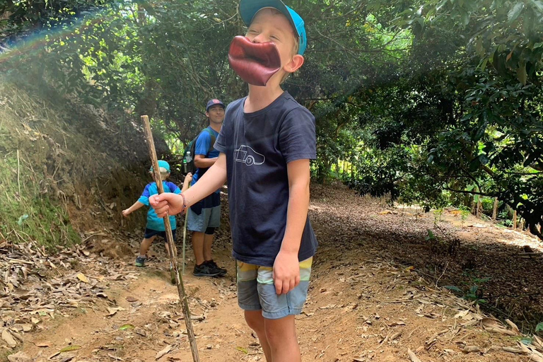 Chiang Rai Trek: 4 Hilltribes Villages & Waterfall Only Walk