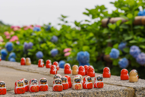 Osaka/Kyoto: Katsuoji & Arashiyama & Kinkakuji Day Tour 9:00 AM Depart from Kyoto