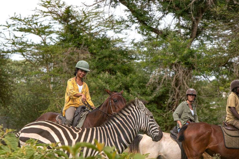 Arusha: Horseback Riding Safari in Dolly Estate