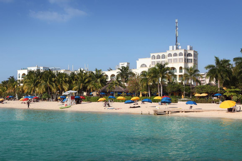 Montego Bay: Full-Day Guided Tour with Hotel Pickup