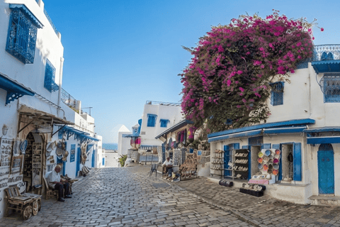 From Hammamet or Nabeul: Half-Day Tour to Sidi Bou Said, Carthage, Medina