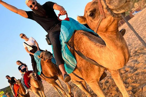 Agadir: Camel Ride by Souss River with Hotel Pickup
