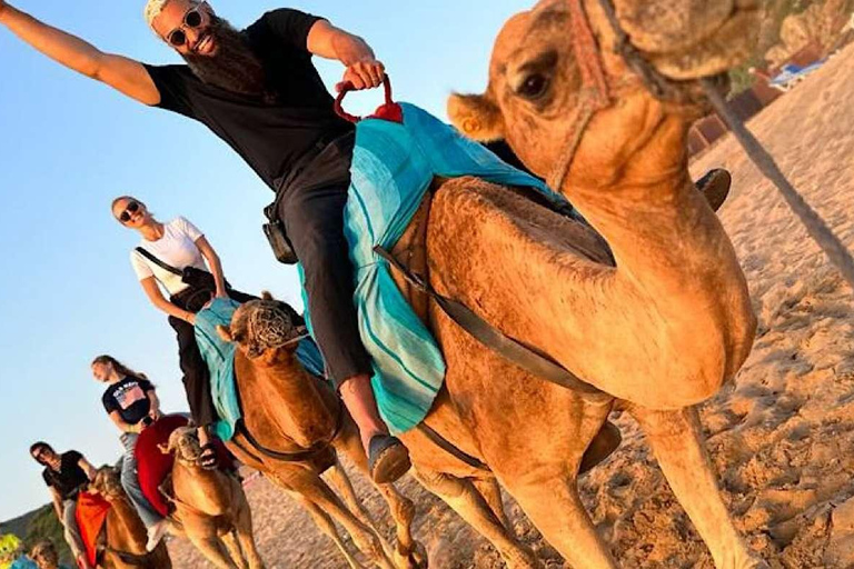 Agadir: Camel Ride by Souss River with Hotel Pickup
