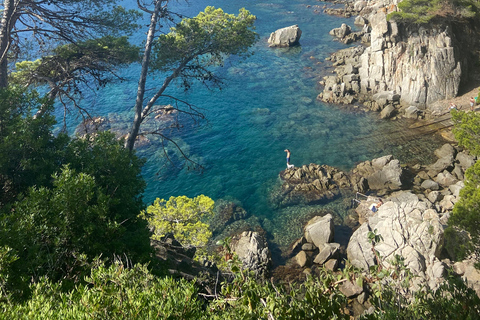 Barcelona: Private Trip, Girona, Medieval Town, Coast & Wine Private Day Trip