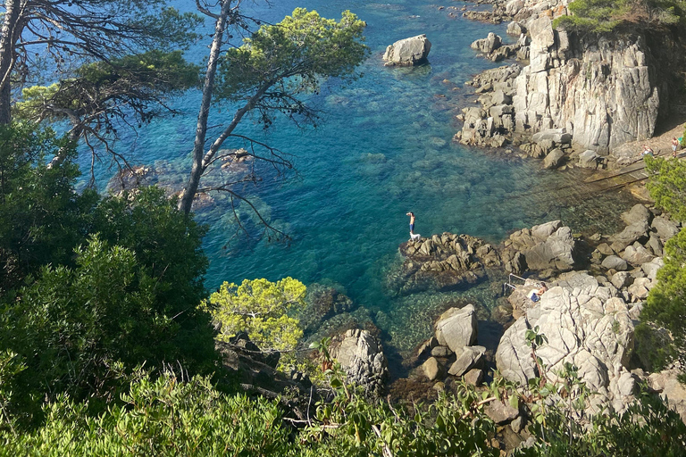 Barcelona: Private Trip, Girona, Medieval Town, Coast & Wine Private Day Trip