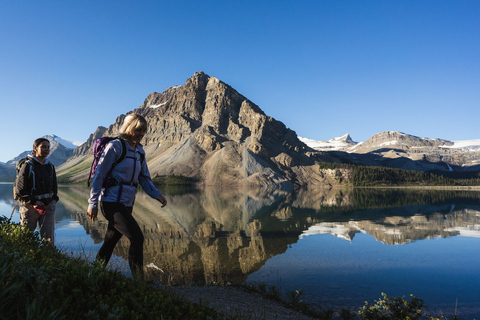 Icefield Glacier & Skywalk Full-Day Tour