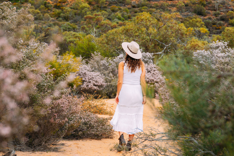 Follow the wildflower trail from Perth to New Norcia