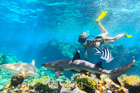 3 night/4 day Fiji Islands Adventure, Culture & Snorkeling Dorm Accommodation