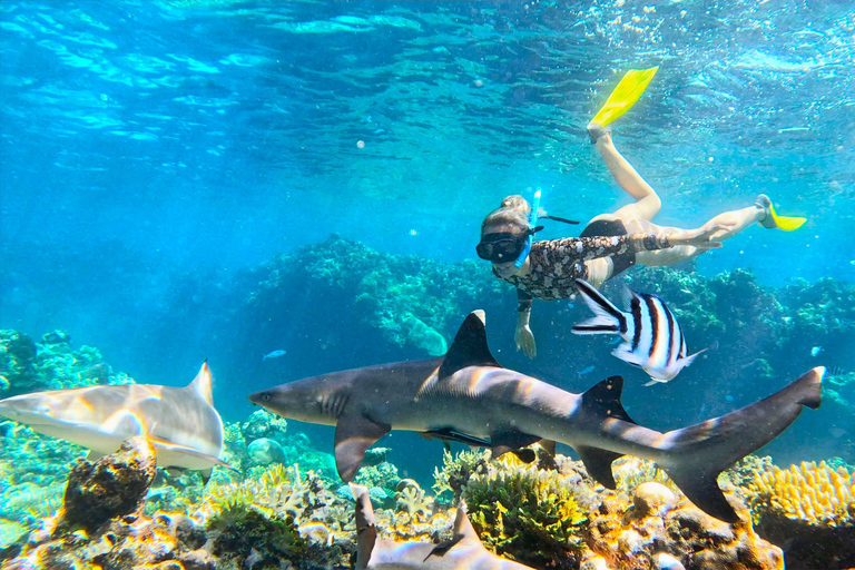 3 night/4 day Fiji Islands Adventure, Culture & Snorkeling Dorm Accommodation