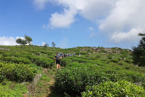 Trekking z Kandy do Ella